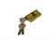 Личинка замка 60 мм, 3 ключа, золото - фото 5377